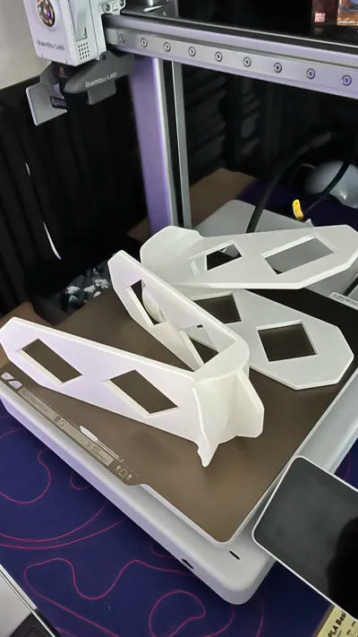 Shoe Organizer