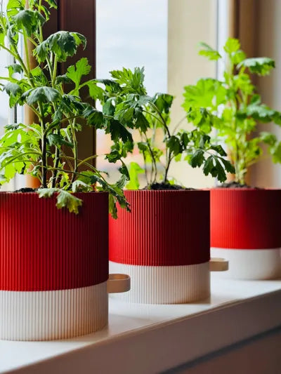 Self-Watering Planter